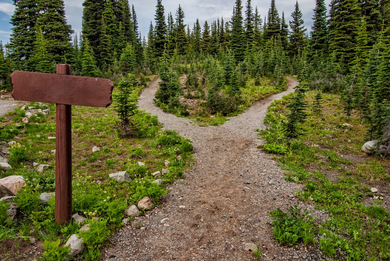 The Path to Understanding